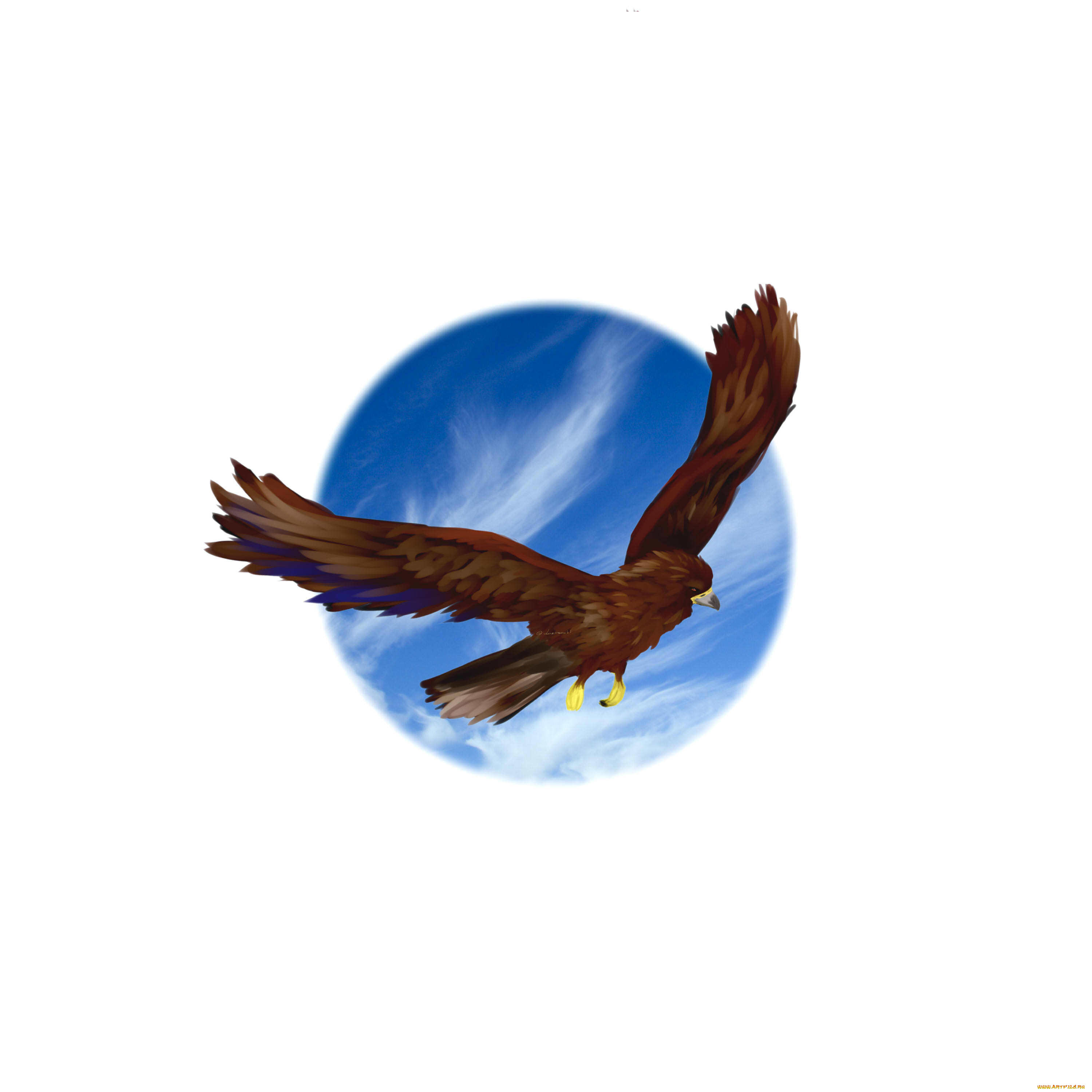 , , , , , , , 